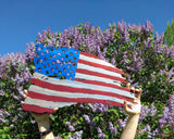 Tattered Flag - U.S.A