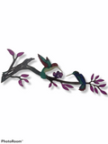 Humming birds on a branch