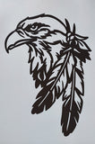 Eagle With Feathers