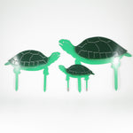 Turtle Family - Set of 3