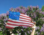 Tattered Flag - U.S.A